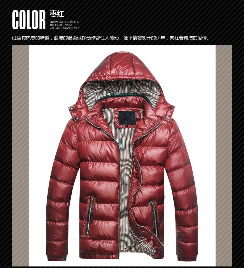 4106131858_1751622371