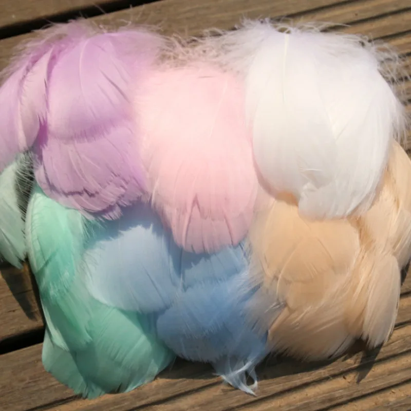 

50pcs Natural Mixed Color Feathers 5-10cm Goose Feather Plumes for Wedding Hat Hair Accessories Home Craft DIYJewelry Decoration
