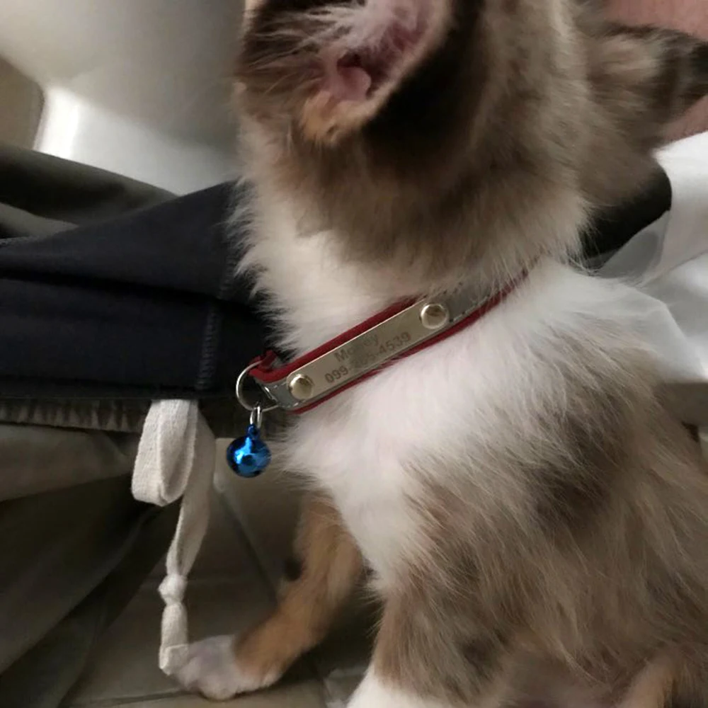 UTB8i8.HyRahduJk43Jaq6zM8FXad