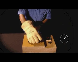 2629519519_970848800