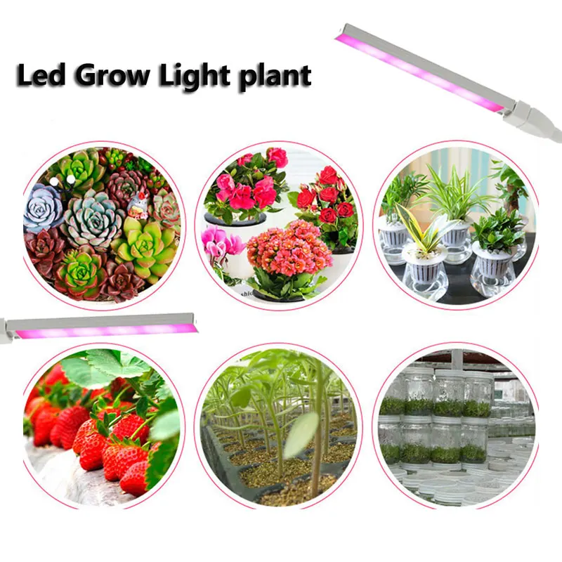 LEDGLE 3W LED Grow Light Plant Lamps Efficient planta de luz with UV Growing Lamp for Seedling Plants Flexible Hose Plant Lights (1)