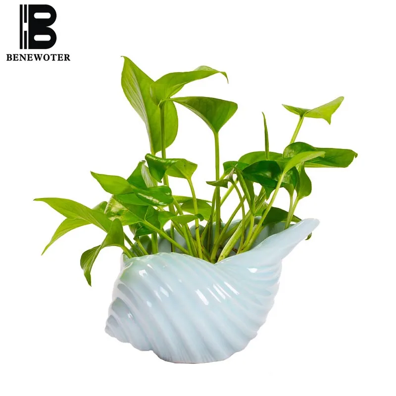 

Mediterranean Style Ceramic Flower Pot Creative Shell Conch Hydroponic Plant Container Vase Office Desktop Bonsai Garden Planter