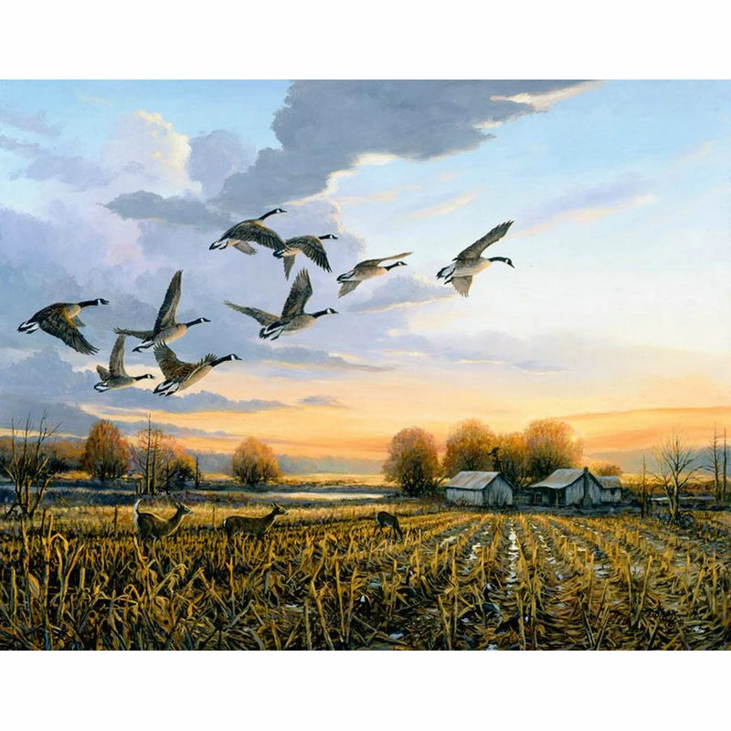 5D DIY Diamond Embroidery Mosaic wild duck Animal Picture Diamond Painting Cross Stitch landscap Needlework Living Room Painting