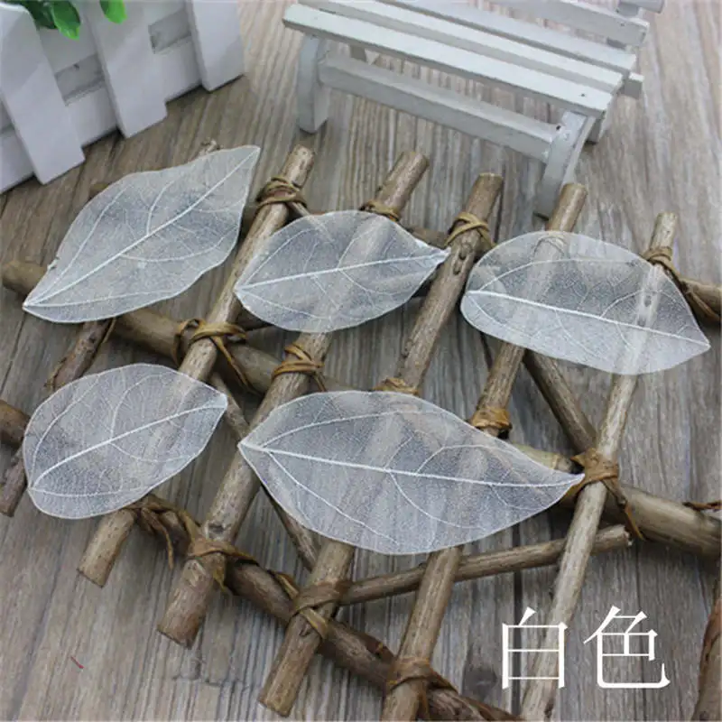 

Free Shipping Forest Series Natural Dried Flowers Natural Magnolia Leaves Rhododendron Dried Standard Bookmarks 12pcs