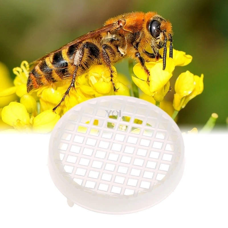 

5Pcs Round Bee Cages Plastic Beekeeping Rearing Tools King Prisoners Beekeeper