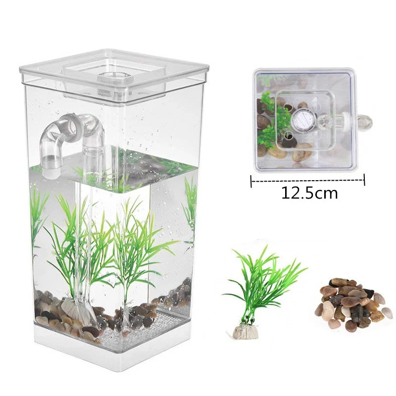self cleaning betta tank