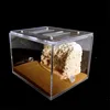 Sand Included Bionic Acrylic & Gypsum Ant Nest Housing Ants Farm Formicarium For Ant Colony ► Photo 1/6