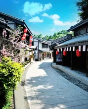 Chinese traditional achitecture photo background park city photography backdrops for photo studio camera fotografia CM-5221