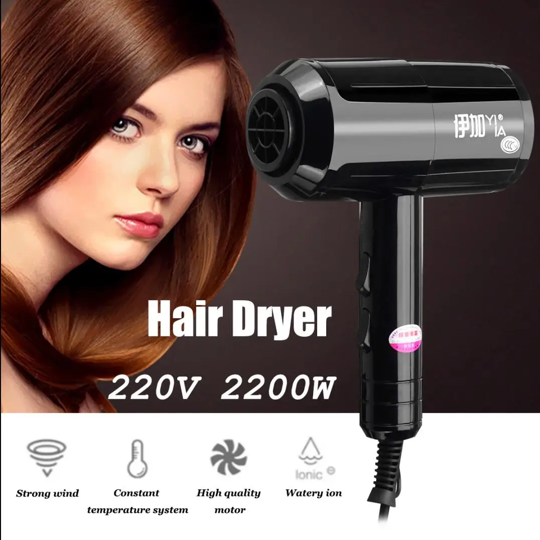 

2000W Electric Salon Hair Dryer Low Noise Powerful Blower Dry Cold Hot Wind Hair Dryer Hairdryer Holder