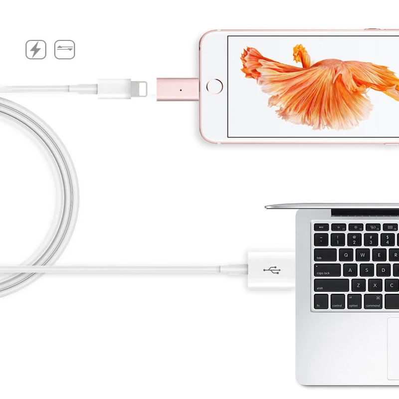 iPhone Magnetic Charging