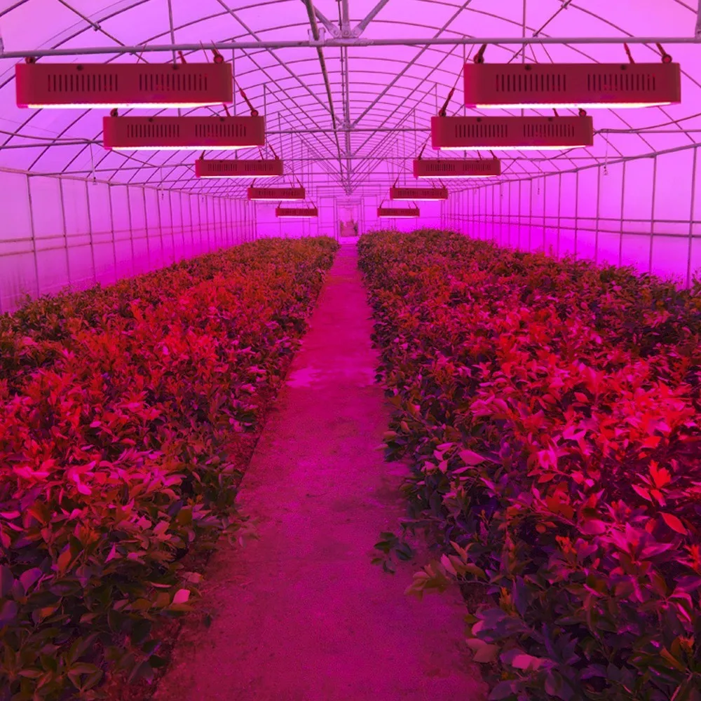 MasterGrow II 600 Вт/800 Вт/1000 Вт/1200 Вт/1600 Вт/1800 Вт/2000 Вт/Вт двойной светодиодный светильник для выращивания растений, полный спектр 410-730нм для комнатных растений