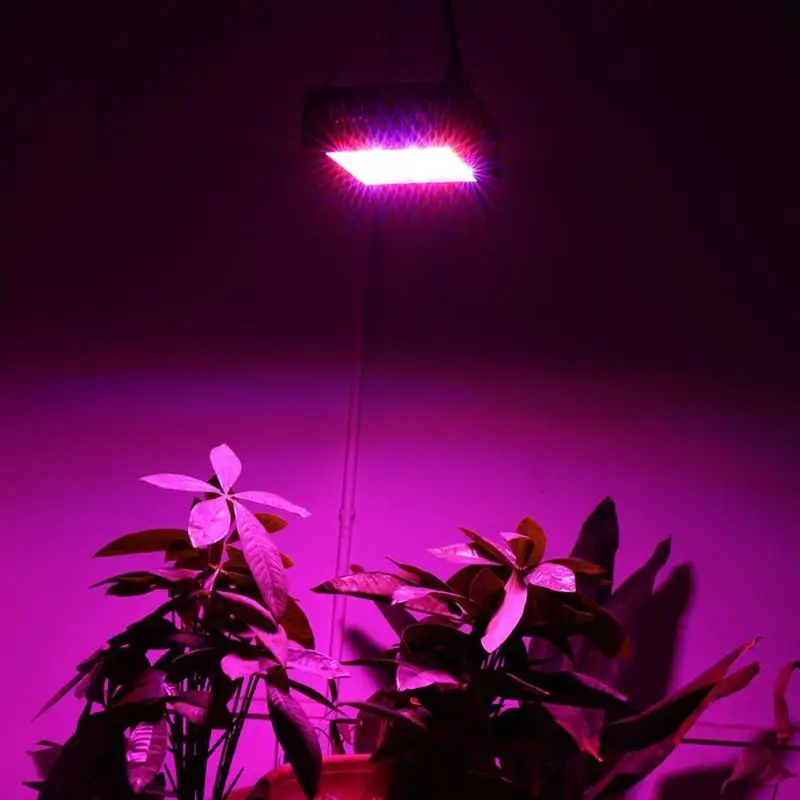 

US/EU Plug LED Indoor Plant Grow Lamp Energy Saving Full Spectrum for Greenhouse Flower Vegetable Grow Tent Plant Grow Led Light