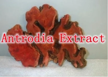 

6Bottles X Natural Antrodia Cinamomea Extract Powder 30% Polysaccharide 500mg x 540Capsule free shipping