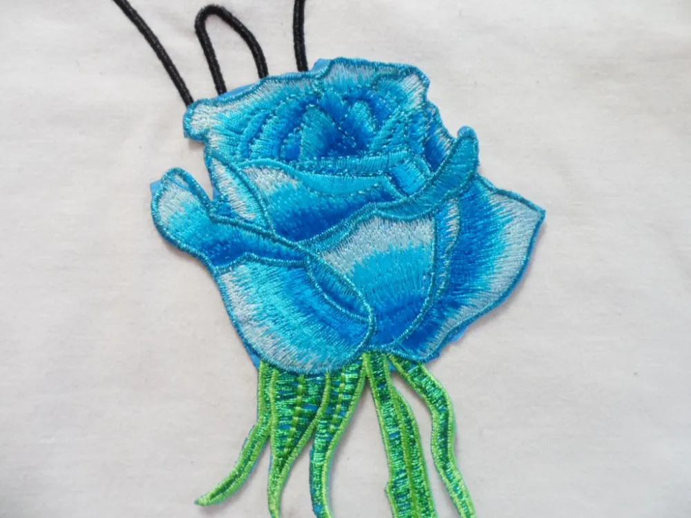 2816807293_1798990951