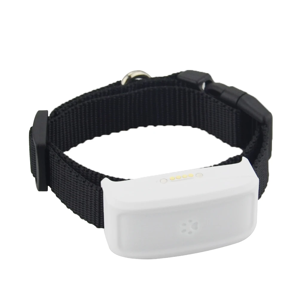 5 pc Real time Wifi GPS Tracker TKSTAR TK911 untuk anjing kucing