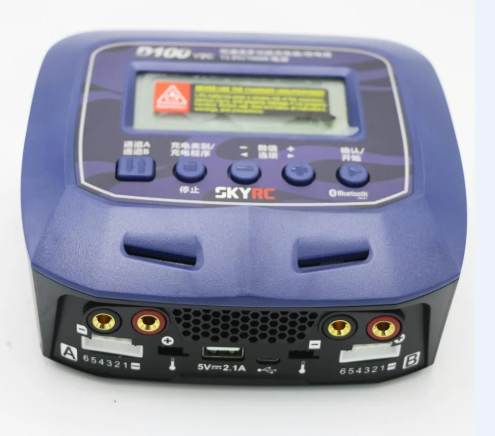 SKYRC D100  (4)