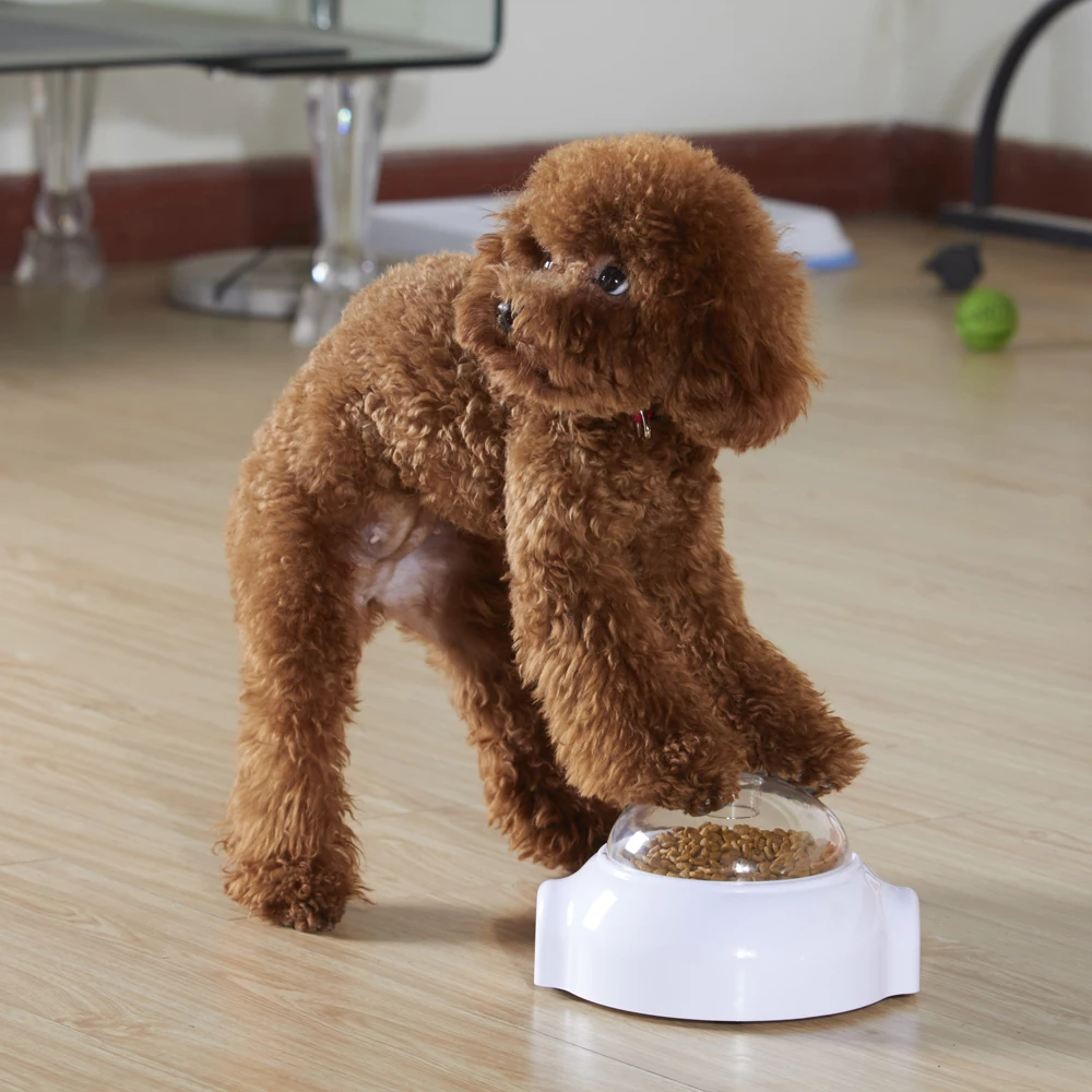 Buy Urijk Dog Toys Pet Interactive Snack Launcher Food