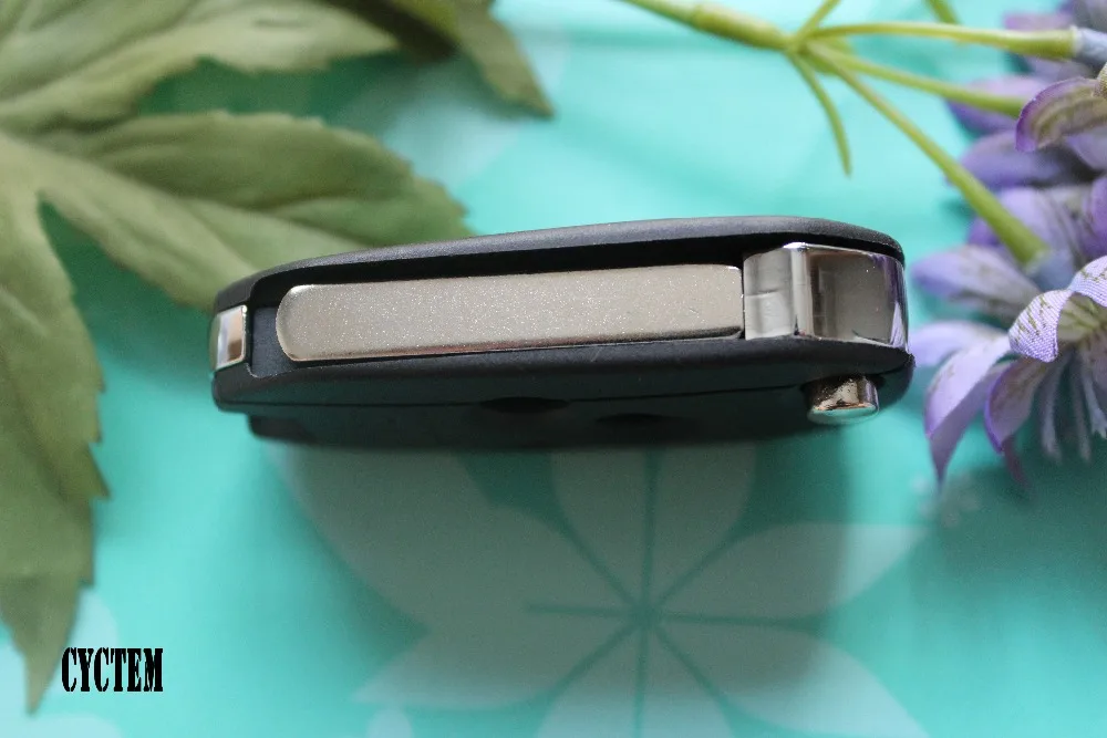 IMG_7845 
