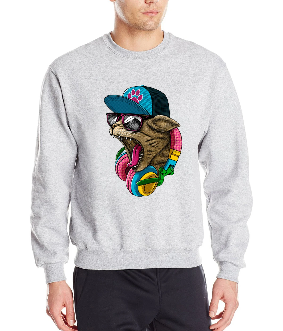 Сумасшедший DJ Cat 3D печатных Забавные костюмы брендовые толстовки с капюшоном 2019