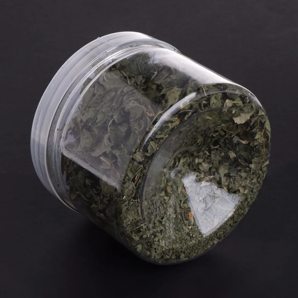 1 Bottle Pet Cat Natural Silvervine Leaves Cat Catnip Toy Dried Polygonum Matatabi Toys Flavor Snacks Cat Supplies C42