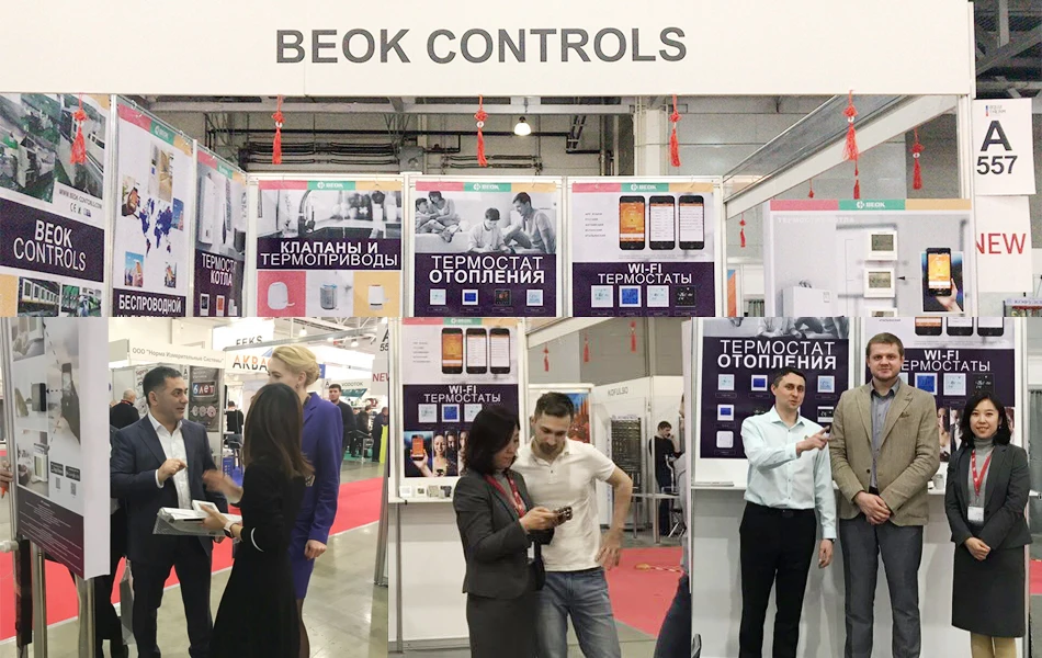 HTB1GcP9XYGYBuNjy0Foq6AiBFXa6