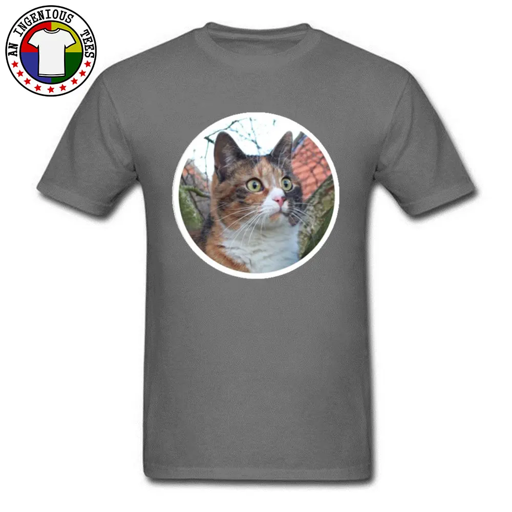Beautiful Calico Cat New Design Short Sleeve Normal T-Shirt 100% Cotton Crewneck Men Tops Shirts Comics Sweatshirts Summer Fall Beautiful Calico Cat carbon