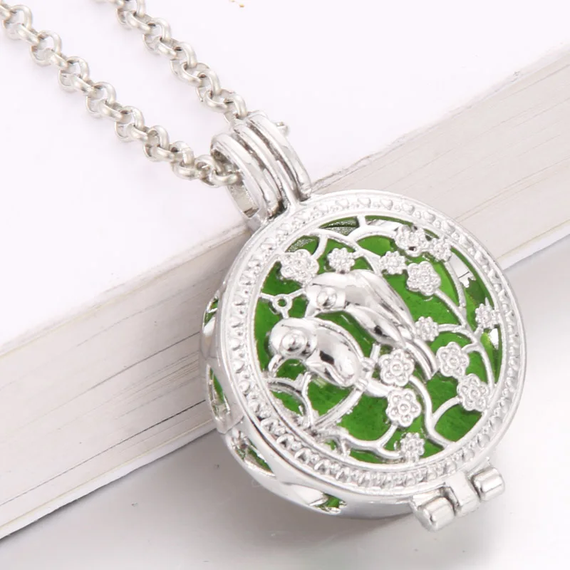 

Hollow Necklace Locket aromatherapy Essential Oils perfume Diffuser Locket Necklace Pendant Collector