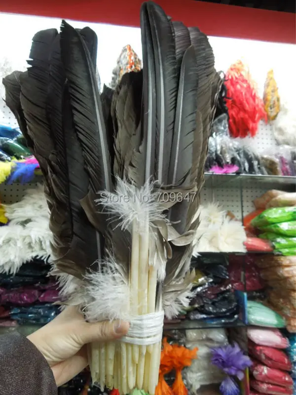

One Set(60-70pcs) per lot 16-24"40-60cm High quality pheasant feathers,pheasanwings&quills,DIY jewelry,collectibles,performances