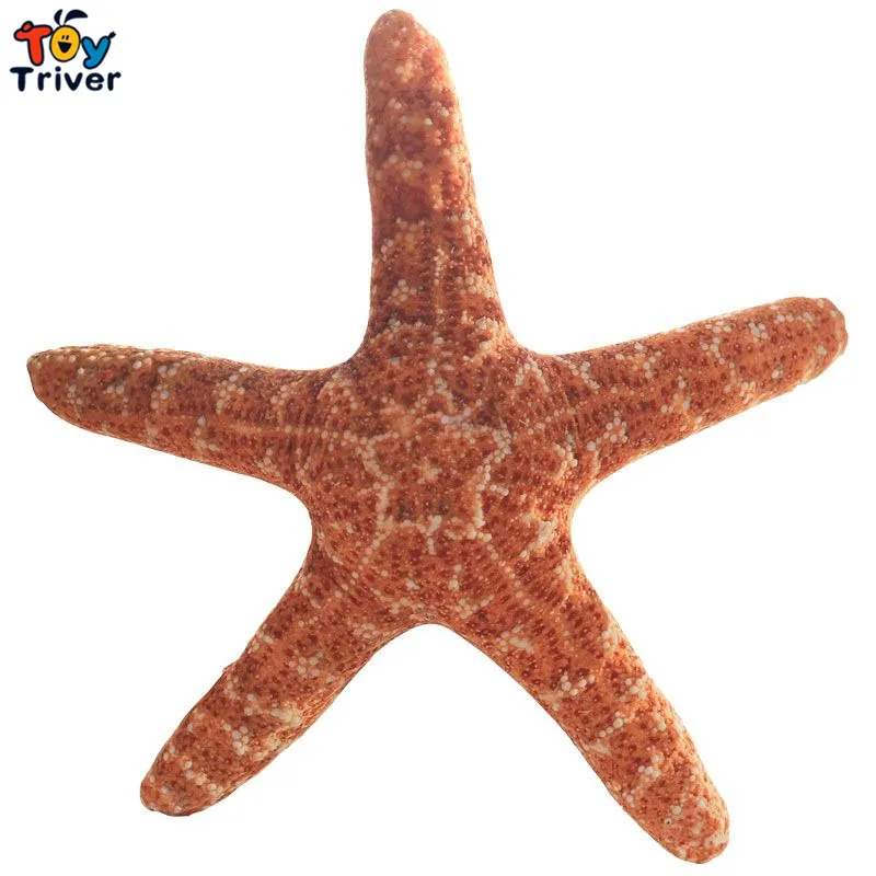 starfish plush toy