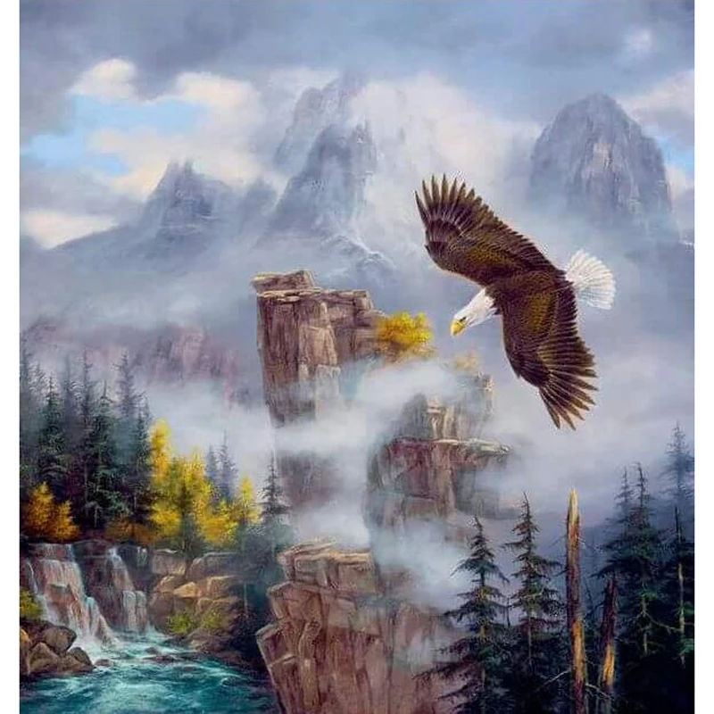 Горный орёл. Орел в полете вид сверху. Белоголовый орлан в полете. Белоголовый орлан полет. Картины руди рейхардта.