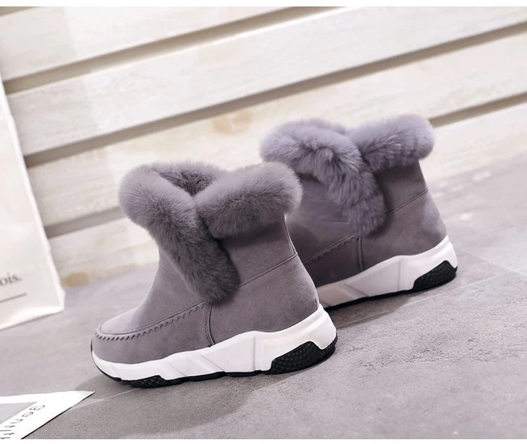 5388606672_190402805