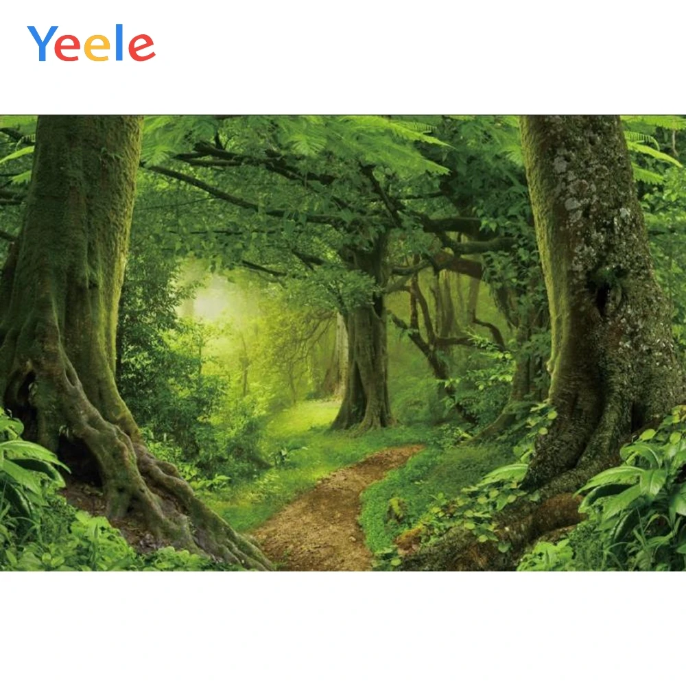 Yeele Джунгли Лес фоны дерево мох зеленая трава пещера тайна ребенок живописный фото фон фотосессия