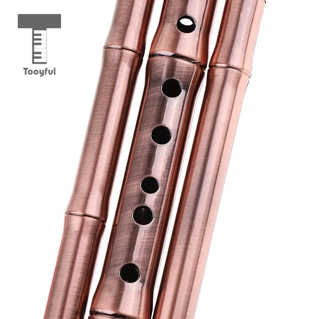 Tooyful Chinese Hulusi Drawing Gourd Cucurbit Flute Key of C Professional Ethnic Wind Musical Instrument for Beginners
