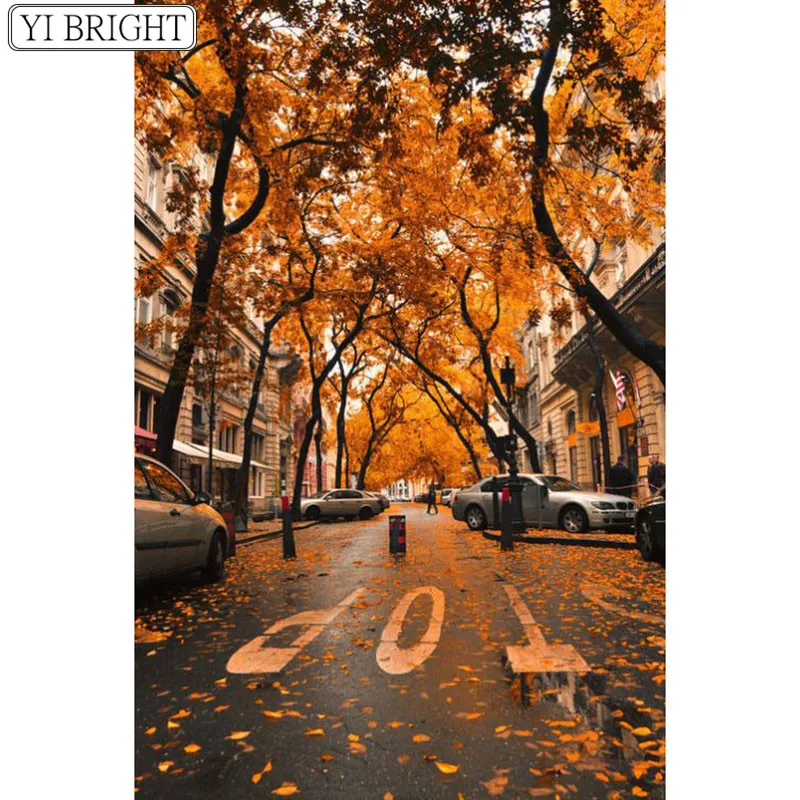 45446f28378bcd6e70f91f5e4a0142e5--autumn-leaves-beautiful-places