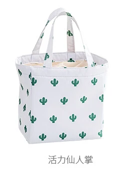 Портативная и практичная термо сумка для пикника на открытом воздухе для пикника ланча сумка для хранения коробка 6 стилей на выбор - Цвет: Cactus