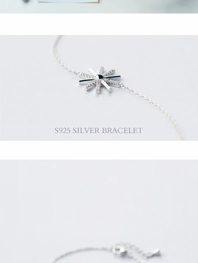 2938696150_334617663