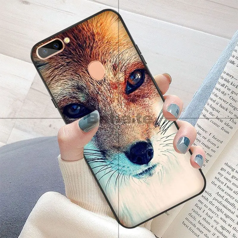 Fox Glasses Universe