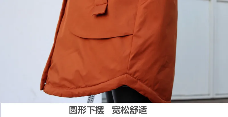 Новейшая модель размера плюс 2XL~ 5XL Женская парка пуховик с утиным пухом натуральная енотовидная собака меховой капюшон зимние женские свободные большие повседневные плотные пальто