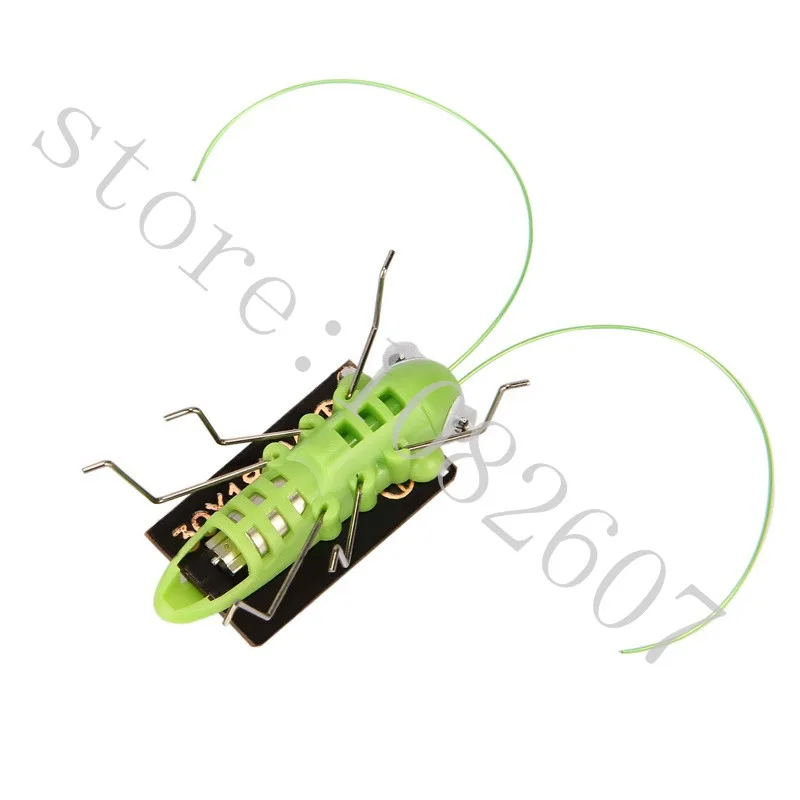 New-1-PCS-Children-Baby-Solar-Power-Energy-Insect-Grasshopper-Cricket-Kids-Toy-Gift-Solar-Novelty (1)_