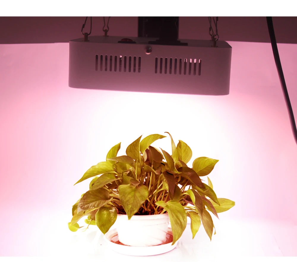 COB светодиодный Grow светильник 100 Вт 200 полный спектр завод светильник плантационных палаток комнатные растения растут культивирование на гидропонике цветок лампа для выращивания