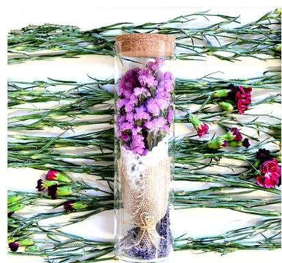 Натуральный высушенный цветок+ стеклянная бутылка фиолетовый миозотис Гипсофила консервированный цветок свадебный подарок Рождественский подарок украшение дома - Цвет: D