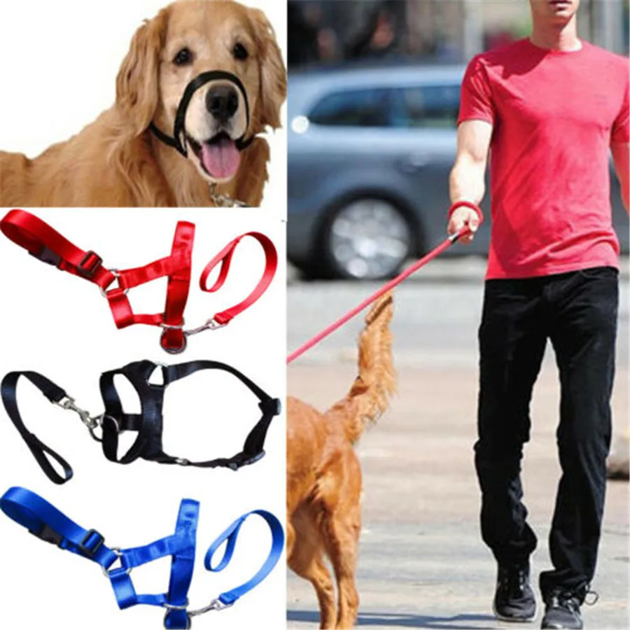 

Training Puppy Head Collar Halter Pet Mouth Traction Set Dog Muzzle Leash Leader No Pull Strap S-XXL