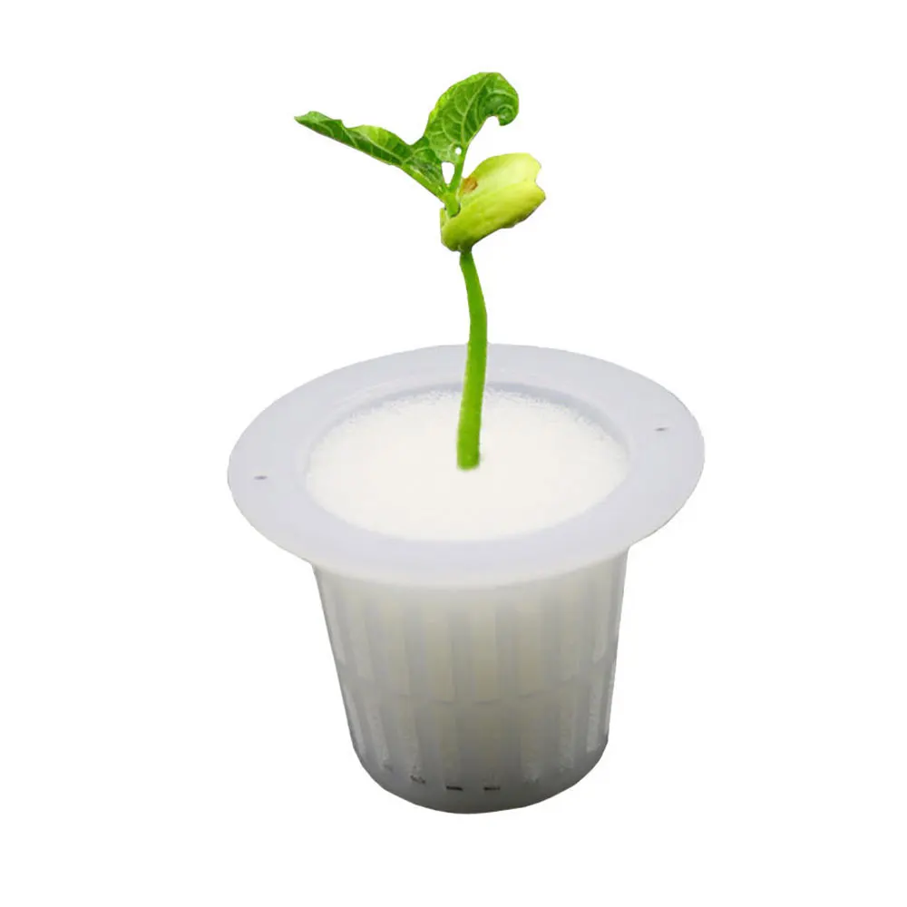 10 шт. белый сетчатый горшок чистая чашка корзина+ клонирование воротник пенопласт гидропонная, для растений Семена растений Germinate