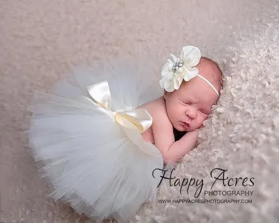 2244208543_1984093114