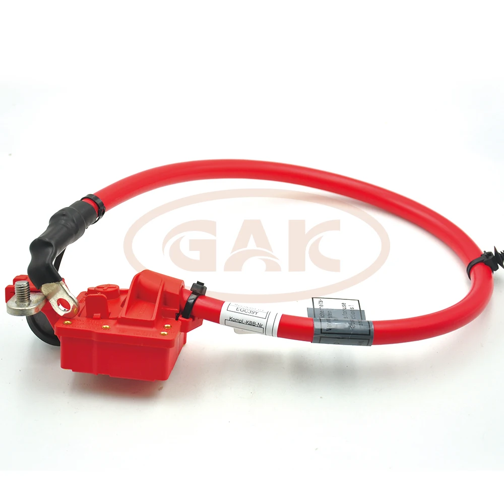Кабель аккумулятора для BMW X3 F25 18i 20dX 20i 28i 28iX 30dX 35dX 35iX 61129225099 | Автомобили и мотоциклы