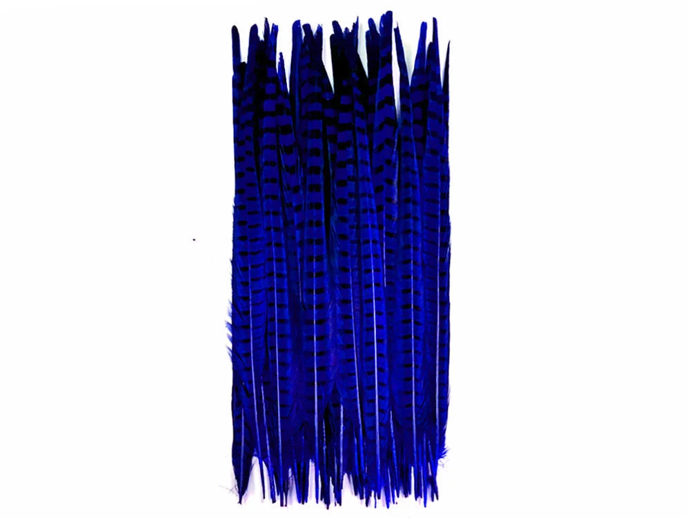 royal blue-4
