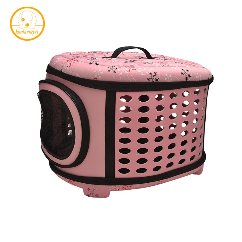 개 고양이 여행