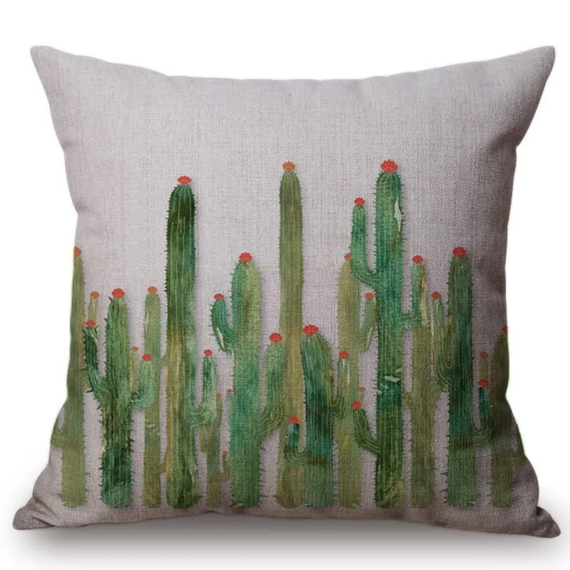 cactus-four-collab-canvas 