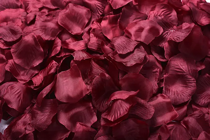 2382-02-10pcs-Burgundy-