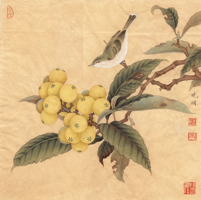 Cl&aacute;ssico p&aacute;ssaro Chin&ecirc;s n&ecirc;spera &aacute;rvore paisagem pintura a &oacute;leo impress&otilde;es de lona impressa sobre tela in&iacute;cio arte decora&ccedil;&atilde;o imagem